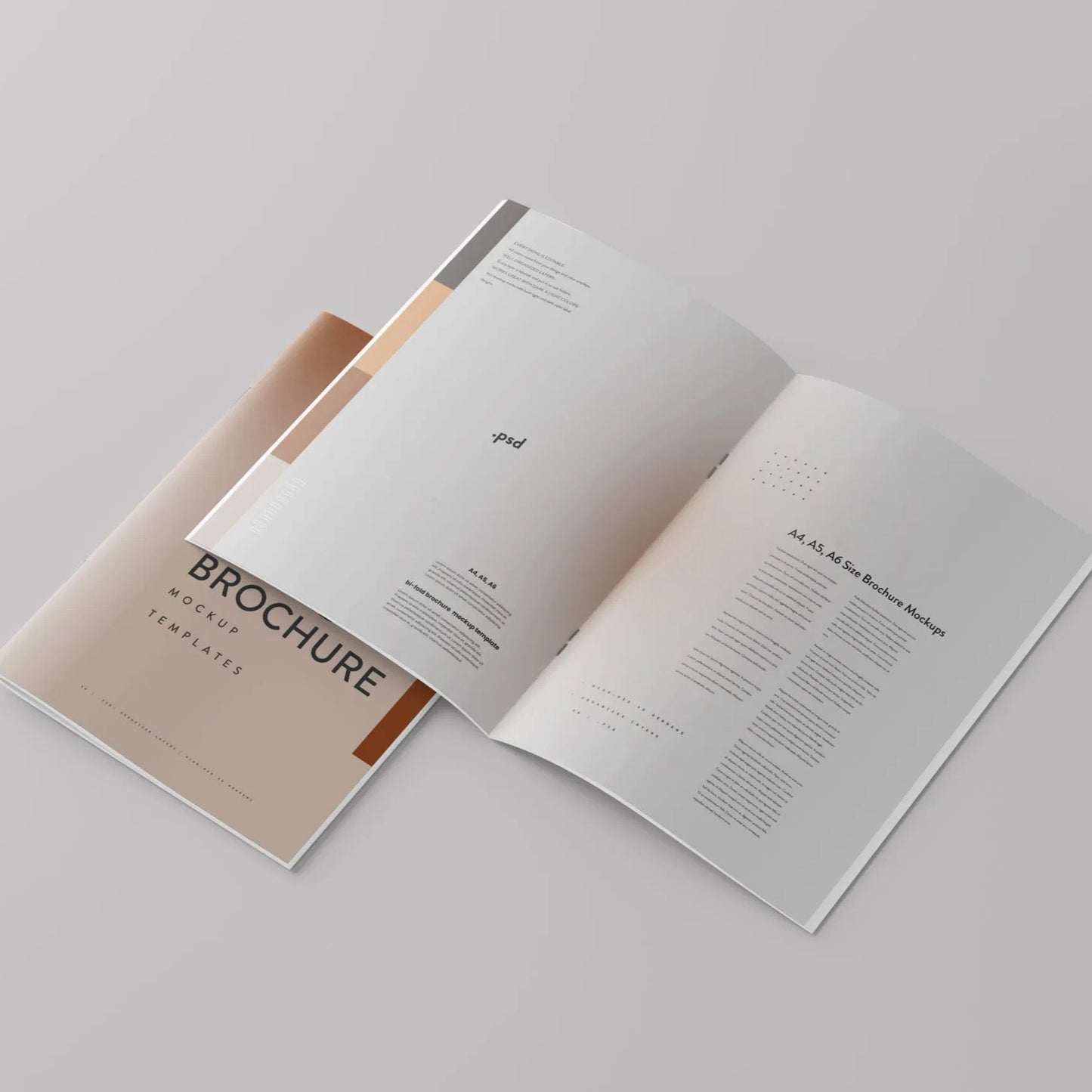 Booklet Brochures (Multi-Page)