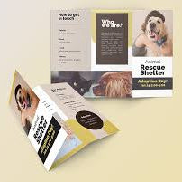 Z-Fold Brochures
